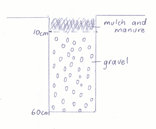 Diagram of a vertical swale